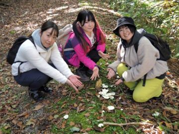 きのこ観察ツアー